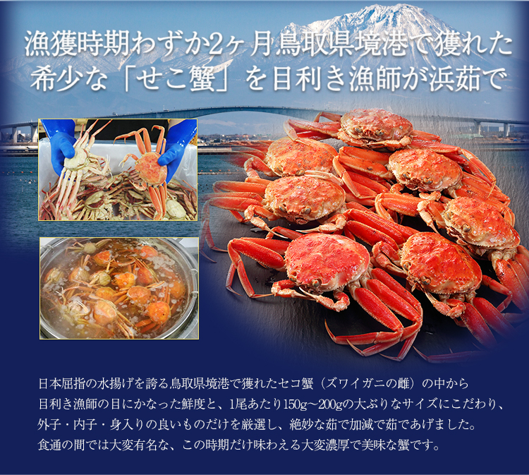 セコガニとは？「松葉ガニのメス」ならではの3大魅力と味わい