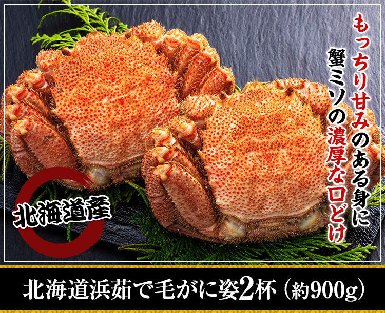 488：北海道紋別浜茹で 毛がに姿 ２杯（約９００g）