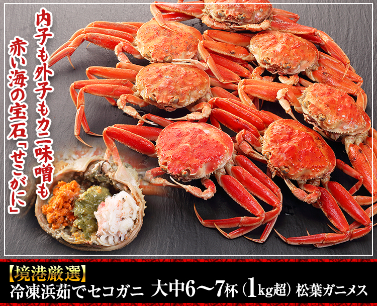 668：【境港厳選】冷凍浜茹でセコガニ 大中６～７杯（１kg超）松葉ガニメス